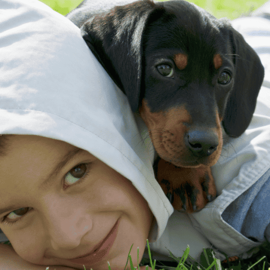Dachshunds Kids