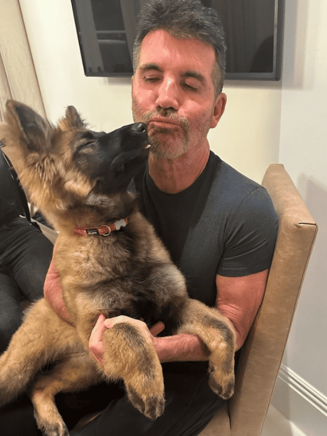 Simon Cowell’s New Pup : The Secret Behind Pebbles!